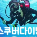 프리다이빙 스쿠버다이빙 교육 자격증과정!!