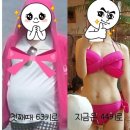 하트핏