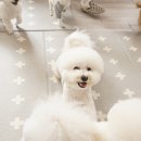 무무유치원 이미지