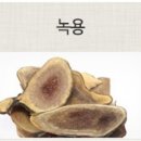 로뎀나무한의원 이미지