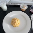 땡피시 | 7-12월 브리즈번 일상(브리즈번 응급실, 공립병원)