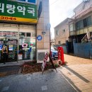 아리랑여인숙 이미지