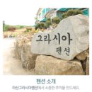 아산그라시아