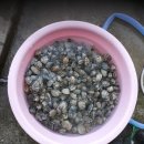 대야펜션 이미지