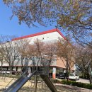 수원시 팔달구 향교로 93 이미지