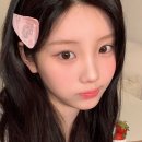 도원장 | [쌍수] 쌍꺼풀 재수술 성형외과 발품 후기