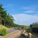 망상해오름가족호텔 이미지