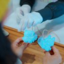 해안야생화체험장 이미지