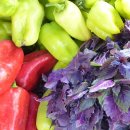 한중한의원 이미지