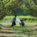 신태양농장 이미지