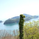 7. 전학증 이미지