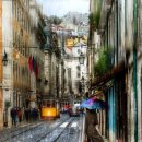 이동원의 가을 편지 이미지