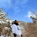 삼화목장 Daum카페