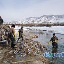 이로운PC 티스토리