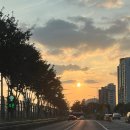 아방화정점 | 미친(negative) 여성