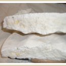 설향이야기 이미지