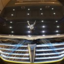 이노덴트 이미지