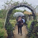 고석정주유소 | 추석 나들이 고석정 꽃밭(25.10.6)