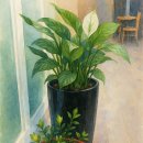 선행정사사무소 이미지