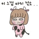 하안유산후조리원 이미지