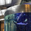 동남로207(앞) | 만우절에 쓰는 3월 이야기