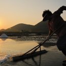 빛과 소금 이미지