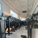 샤이닝 짐 이미지