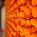 지리산곰실곶감농원 이미지