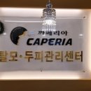 까페리아탈모관리센타