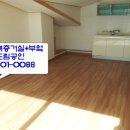 동조리젠시 이미지