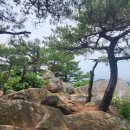 강릉임해자연휴양림 이미지