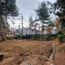 태진정비 이미지