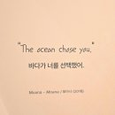 [서울 전시] 내셔널지오그래픽 특별기획: OCEAN 가장 거대한 기록 후기_6월 전시 추천