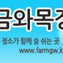 금와목장 이미지