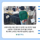 영남 명품세탁 이미지
