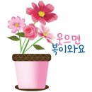 살찐붕어 네이버블로그