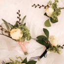 마미플레르 이미지