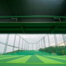 THE골프연습장 이미지