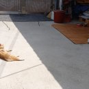 대풍농약사 이미지