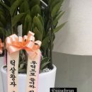 미르테 바이 혜정 프리미엄점
