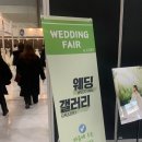 더블유앤코 | <코엑스 웨딩 박람회> 방문 솔직 후기 : 삼성역 웨덱스 웨딩 박람회