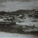 공설운동장길(공설운동장) Daum카페