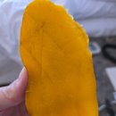 필리핀 보홀 여행 4일차 후기! 보홀 헤난 프리미어 리조트, 보홀 독도카페, 보홀조이스파, 보홀 노스젠...
