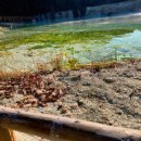 아산온천관광지 이미지