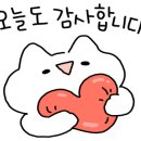 에코 플랜테리어 수경재배 이미지