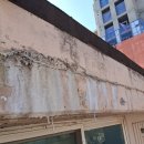 중흥공원 | 경기 부천시 원미구 중동 중흥마을 신동아영남아파트 외벽크랙보수 실리콘작업. 후기