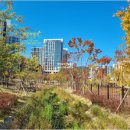 대장동지인공인중개사사무소 이미지