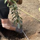 해찬농장 이미지