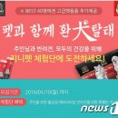 펫프로젝트 이미지