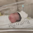 수지미래산부인과의원 | [출산 일기] 수지 미래 산부인과 출산 / 입원 후기